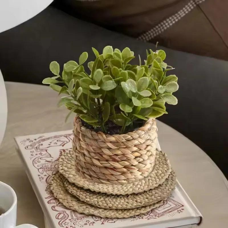 1Pc Potted Plant Small Fake Pl - огляд і ціна Home Office Layout